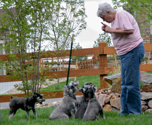 Linda with puppies